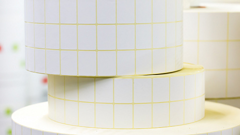 new fez "minsk" resident will produce label products