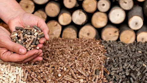 New woodworking project to be implemented in Fanipol
